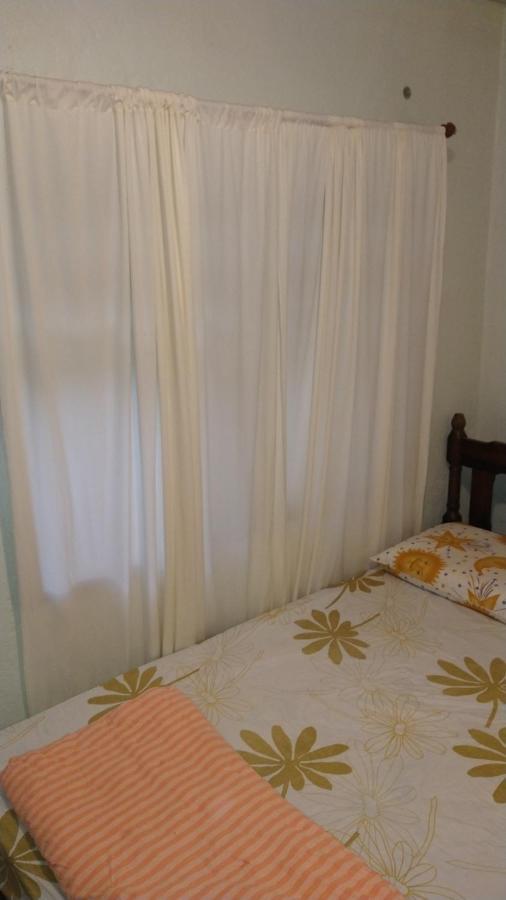 Reibier Blumenau